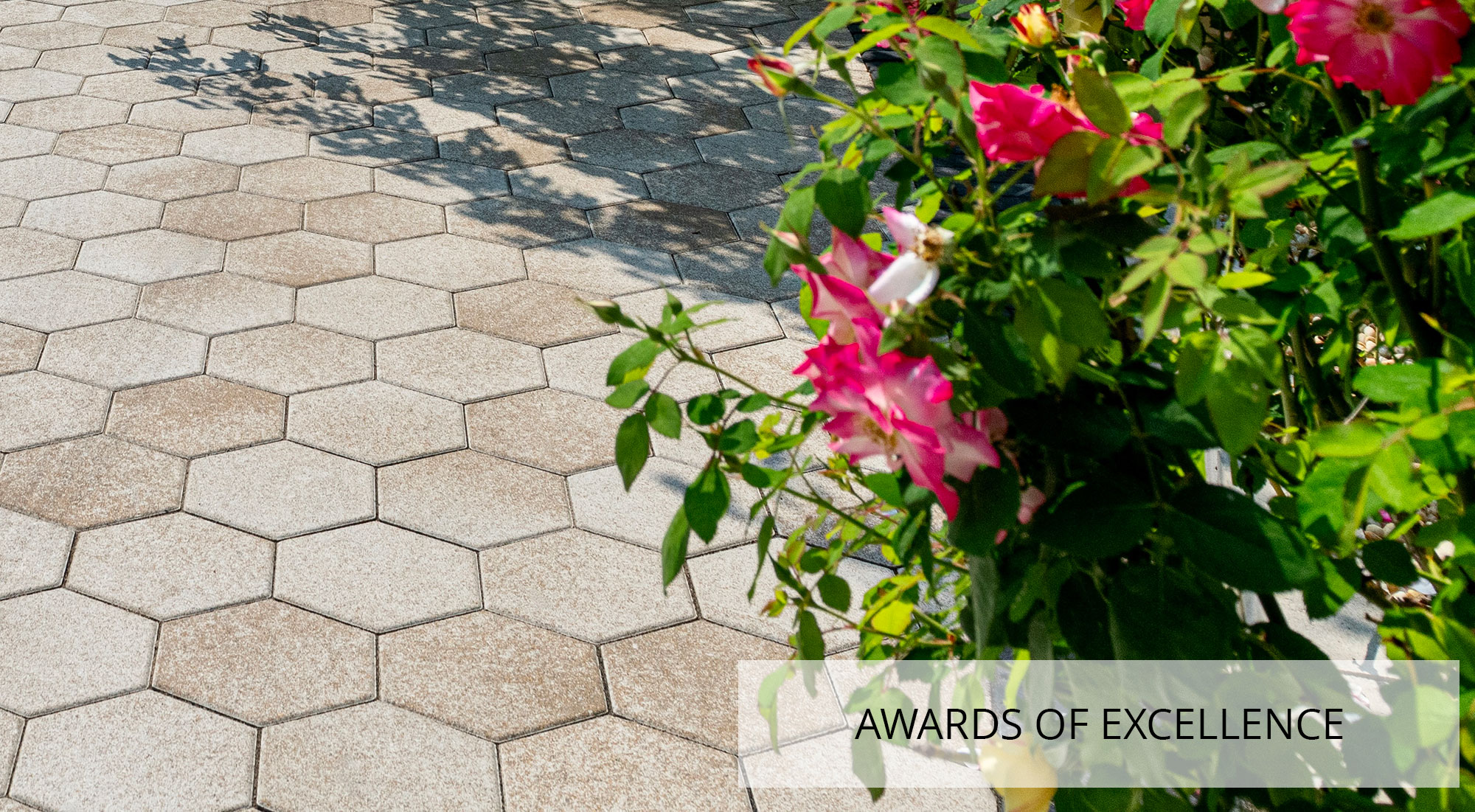 awards of excellence